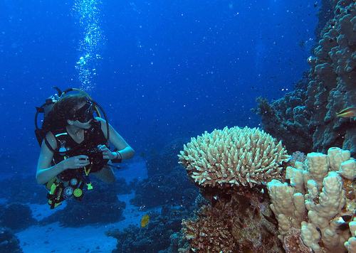 underwater-near-menorca-scuba-diver